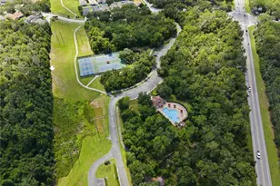 16817 Harrierridge Pl, Lithia, FL 33547 - Photo 46