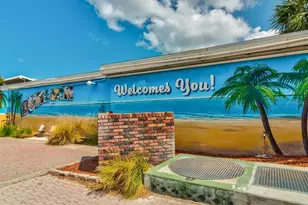 1081 McFarland St, Dunedin, FL 34698 - Photo 48