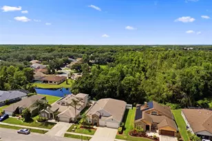 1501 Flatwood Ct, Trinity, FL 34655 - Photo 2