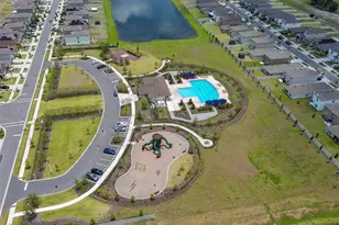16782 Carlton Pond St, Wimauma, FL 33598 - Photo 44