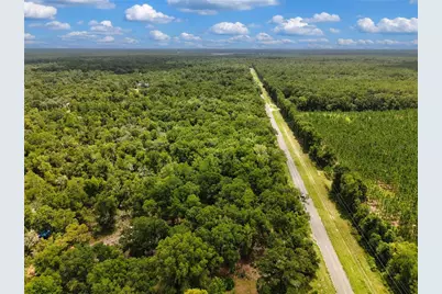 000 NE 410th Avenue, Old Town, FL 32680 - Photo 14