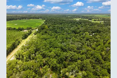 000 NE 410th Avenue, Old Town, FL 32680 - Photo 4