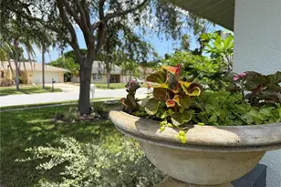 1447 Byram Dr, Clearwater, FL 33755 - Photo 38