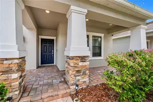 19343 Paddock View Dr, Tampa, FL 33647 - Photo 10