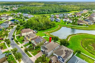 19343 Paddock View Dr, Tampa, FL 33647 - Photo 86