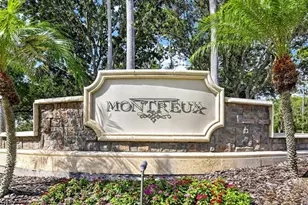 7508 Dunbridge Dr, Odessa, FL 33556 - Photo 66