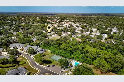 3174 Phlox Drive, Palm Harbor, FL 34684 - Photo 6