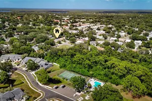 3174 Phlox Dr, Palm Harbor, FL 34684 - Photo 6