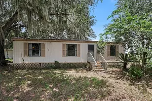 10239 Lyons Ave, Lithia, FL 33547 - Photo 6