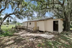 10239 Lyons Ave, Lithia, FL 33547 - Photo 1