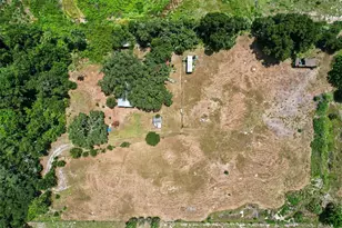 10239 Lyons Ave, Lithia, FL 33547 - Photo 2