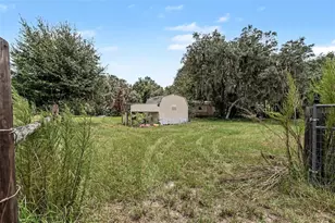 10239 Lyons Ave, Lithia, FL 33547 - Photo 36
