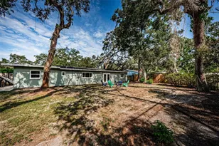 19 Ventura Dr, Dunedin, FL 34698 - Photo 42