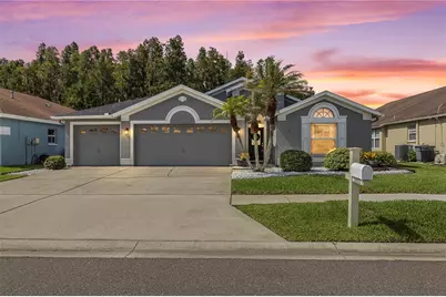 30923 Iverson Drive, Wesley Chapel, FL 33543 - Photo 1