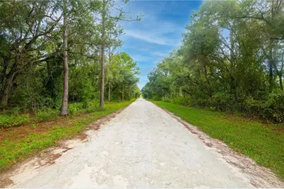 7431 Bitternut Avenue, Webster, FL 33597 - Photo 2