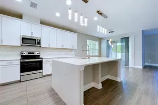 22166 Woodmen Hall, Land O Lakes, FL 34637 - Photo 30