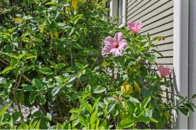 705 W West Street, Tampa, FL 33602 - Photo 48