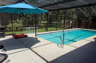 325 Gulfport Ln, Spring Hill, FL 34608 - Photo 6