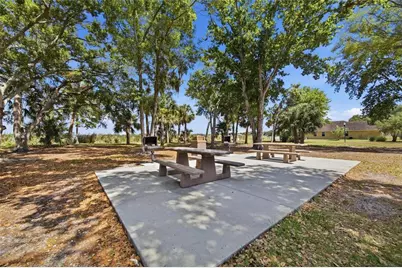 7113 Colony Pointe Drive, Riverview, FL 33578 - Photo 38