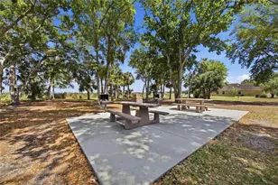 7113 Colony Pointe Dr, Riverview, FL 33578 - Photo 38