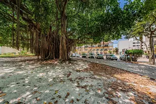 175 2nd St S, Saint Petersburg, FL 33701 - Photo 94
