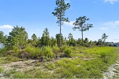 0 Scissorbill Avenue, Weeki Wachee, FL 34614 - Photo 4