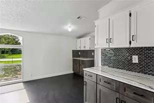 4357 Orlando Ave, Brooksville, FL 34604 - Photo 14