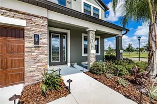 11301 Alachua Creek Ln, Riverview, FL 33579 - Photo 2