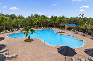6271 Springmont Loop, Palmetto, FL 34221 - Photo 36
