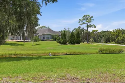 520 Austin Drive, Tarpon Springs, FL 34688 - Photo 12