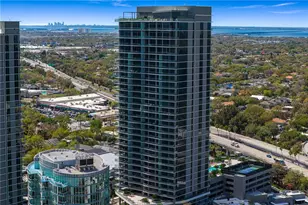 3015 S Ysabella Ave, Tampa, FL 33629 - Photo 98