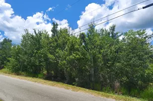 5410 Bob Smith Ave, Plant City, FL 33565 - Photo 1