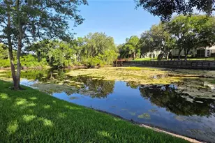 1651 Hammocks Ave, Lutz, FL 33549 - Photo 42
