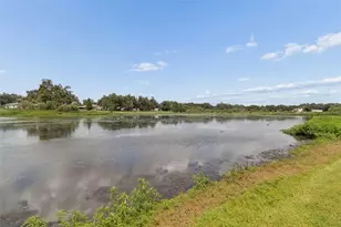 653 Timber Pond Dr, Brandon, FL 33510 - Photo 52