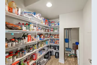 7117 Park Tree Drive, Tampa, FL 33625 - Photo 12