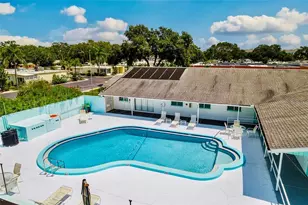 845 Sky Loch Dr S, Dunedin, FL 34698 - Photo 50
