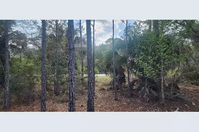 18164 Retriever Road, Weeki Wachee, FL 34614 - Photo 2