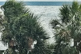 1340 Bayshore Blvd, Dunedin, FL 34698 - Photo 10