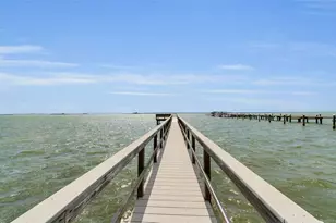 1340 Bayshore Blvd, Dunedin, FL 34698 - Photo 86