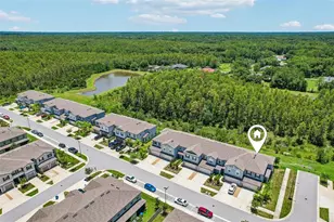 17448 Radiant Shine Wy, Lutz, FL 33558 - Photo 28