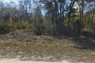 18043 Ramsey Rd, Weeki Wachee, FL 34614 - Photo 1