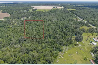 18525 672 Highway, Lithia, FL 33547 - Photo 4