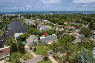 223 Pinecrest Dr, Palm Harbor, FL 34683 - Photo 54