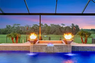 14922 Fishhawk Preserve Dr, Lithia, FL 33547 - Photo 76