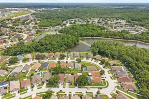 25237 7 Rivers Cir, Land O Lakes, FL 34639 - Photo 40