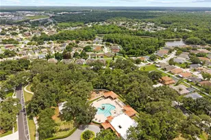 25237 7 Rivers Cir, Land O Lakes, FL 34639 - Photo 48