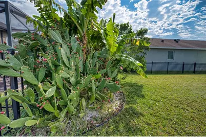 6136 Voyagers Place, Apollo Beach, FL 33572 - Photo 8