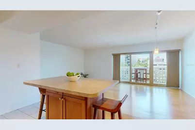 2401 Bayshore Blvd #502, Tampa, FL 33629 - Photo 12