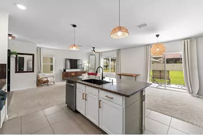 10828 Trailing Vine Drive, Tampa, FL 33610 - Photo 12