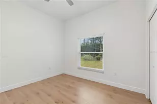 18811 Victor Manuel Dr, Lutz, FL 33548 - Photo 64
